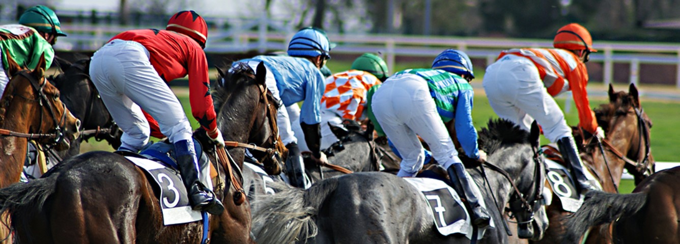 Horse Racing Betting 1