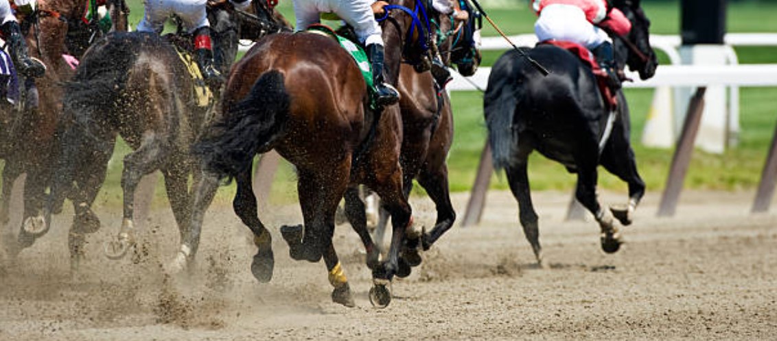 Horse Racing Betting 2