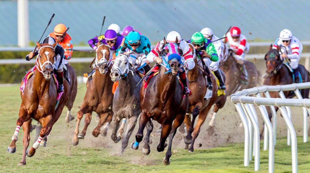 Horse Racing Betting Odds Online at Betwhale 1