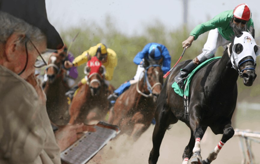 Horse Racing Betting Odds Online at Betwhale 2