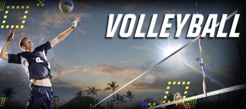 Volleyball Betting - how to make successful bets on volleyball matches at Betwhale 2